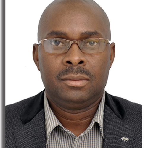 Director-Carlos-Arnaldo_2017-v2