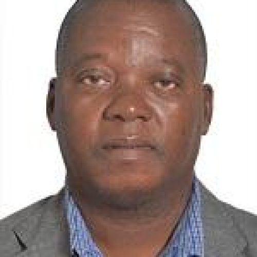 m_Carlos-Zimba1694697917